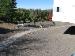 Meadow before spraying